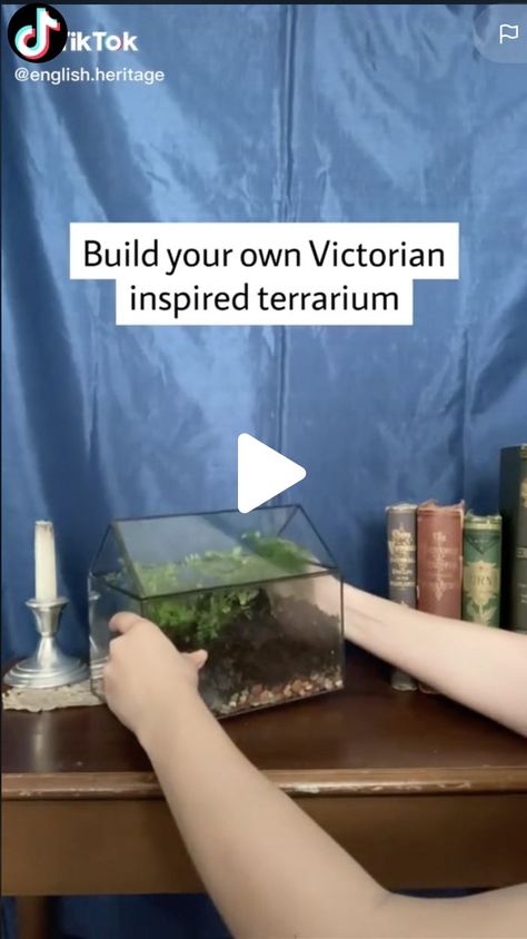 Victorian Terrariums, English Heritage, Build Your Own, Terrarium, Building