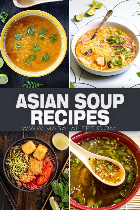 Asian Soup Recipes — A list of flavorful soups from the Asian continent. Here you will find clear soup, coconut milk soups, soups with noodles, chicken soups, soups with shrimp, and various other meats and Asian ingredients. This is a collection to help you get inspired in your kitchen. www.MasalaHerb.com Thai Vegetable Soup, Asian Ingredients, Asian Soup Noodle, Sweet Corn Recipes, Asian Soup Recipes, Chicken Soups, Noodles Chicken, Sweet Corn Soup, Asian Continent