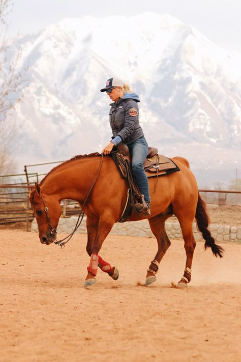 Reining Horse Aesthetic, Reining Horses Photography, Horse Trainer Aesthetic, Western Riding Aesthetic, Western Horse Photography, Western Horse Riding, Horse Senior Pictures, Ranch Horses, Real Cowgirl