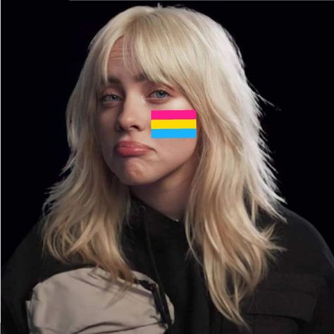 Bi Flag, Pansexual Flag, Happy House, Cheer Me Up, Lgbtq Pride, Lgbt Pride, Matching Profile Pictures, Billie Eilish, Cute Art