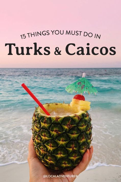 15 Best Things to Do in Turks and Caicos Turks And Caicos Family Vacation, Club Med Turks And Caicos, Turks And Caicos Excursions, What To Do In Turks And Caicos, Turks And Caicos Food, Turks And Caicos Itinerary, Providenciales Turks And Caicos, Things To Do In Turks And Caicos, Grace Bay Turks And Caicos