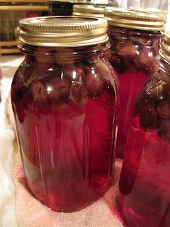 Easy Muscadine Jelly Recipe, Concord Grape Juice Recipe, Muscadine Recipe, Cranberry Grape Juice, Homemade Grape Juice, Muscadine Jelly, Grape Juice Recipe, Water Bath Canning Recipes, Canning Vegetables