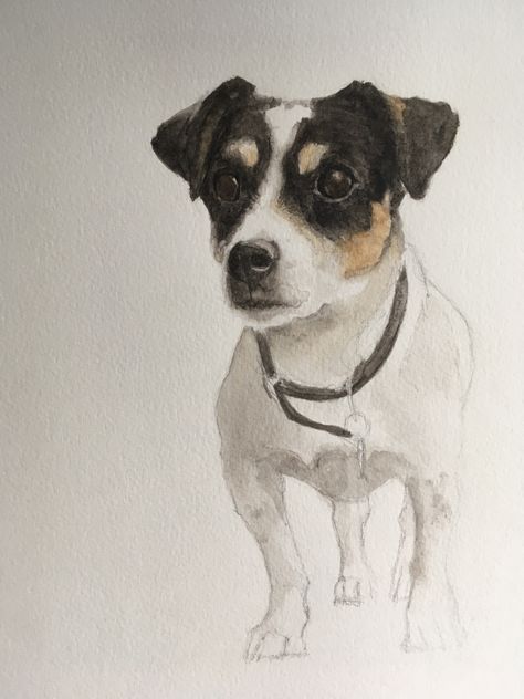 Watercolor Reference, Drawing Dogs, Jack Russell Dogs, Rat Terrier, Jack Russells, Watercolor Pet Portraits, Canine Art, Watercolour Inspiration, Rat Terriers