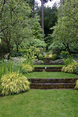 Bajada más suelta Garden With Steps, Terraced Garden, Sloped Backyard, Garden Stairs, Tiered Garden, Sloped Garden, Garden Steps, Magic Garden, Have Inspiration