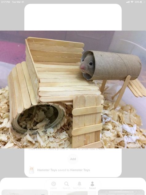 Diy Hamster House, Kandang Hamster, Diy Hamster Toys, Hamster Diy Cage, Hamster Ideas, Gerbil Toys, Popsicle House, Gerbil Cages, Mouse Cage