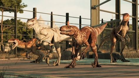 Atrociraptor | Jurassic World Evolution Wiki | Fandom Jurassic World Evolution 2, Jurassic World Evolution, Indominus Rex, Dinosaur Images, Jurassic World Dinosaurs, Jurassic Park World, Prehistoric Creatures, Prehistoric Animals, Universal Pictures