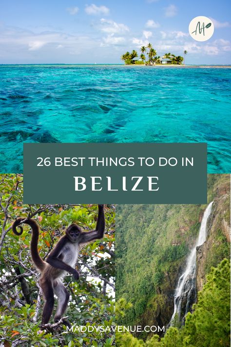 Belize Vacation Outfits, Belize Cruise Port, Things To Do In Belize, Belize Honeymoon, San Ignacio Belize, Belize Travel Guide, Belize Hotels, Placencia Belize, San Pedro Belize