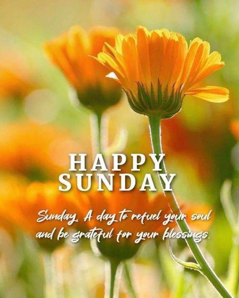 Happy Sunday Flowers, Good Morning And Happy Sunday, Blessed Sunday Morning, Spending Time With Loved Ones, Make Today Count, Happy Sunday Images, Sunday Prayer, Happy Sunday Morning, Sunday Morning Quotes