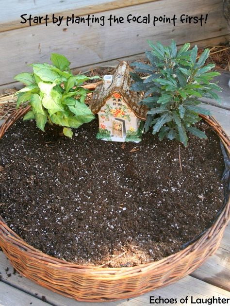 How To Make A Fairy Garden Make A Fairy Garden, Small Flowering Plants, Make A Fairy, Fairy Garden Pots, Flower Projects, Fairy Garden Plants, Fairy Garden Furniture, Garden Basket, Fairy Garden Designs