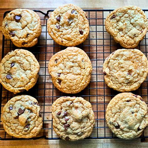 The Best Chocolate Chip Cookies Made With Fresh Milled Flour (soft and chewy) Fresh Milled Brownies, Mesquite Flour Recipes, Fresh Milled Flour Chocolate Chip Cookies, Milled Flour Cookies, Freshly Milled Bread Recipe, Fresh Milled Pie Crust, Fresh Milled Flour Muffins, Fresh Milled Biscuits, Recipes Using Fresh Milled Flour