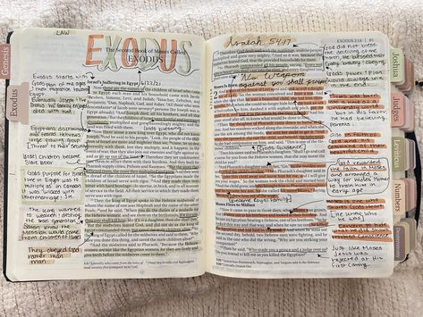 Exodus 15 Bible Journaling, Bible Notes Exodus, Exodus 1 Bible Journaling, Obadiah Bible Journaling, How To Faith A Life, Exodus Summary, Exodus Bible Study Notes, Old Testament Bible Journaling, Bible Journaling Exodus