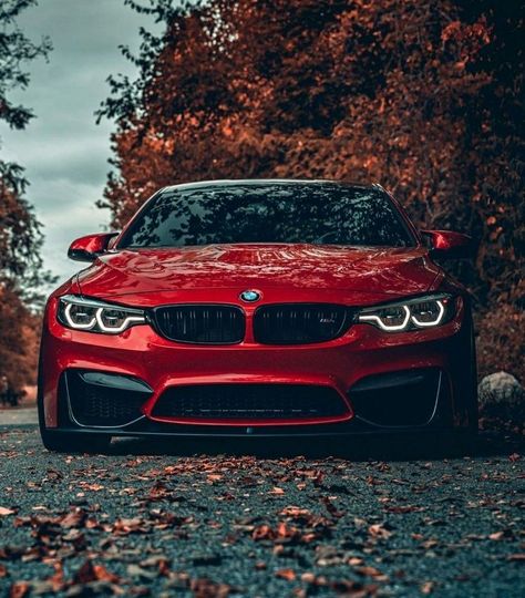 BMW M-4 in 2022 | Bmw, Bmw 4, Most expensive car Bmw Red, Carros Bmw, Bmw Wallpapers, Car Hd, Bmw I3, Lux Cars, Bmw Series, New Bmw, Automotive Photography