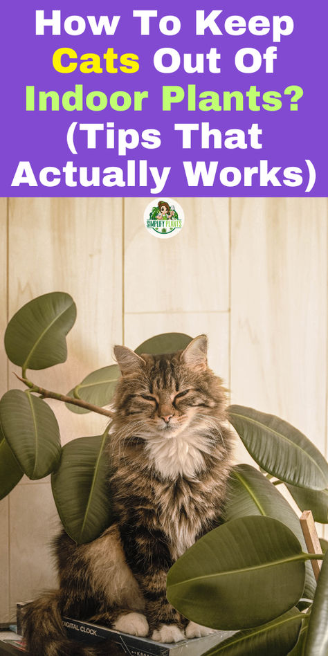 "Discover effective strategies on how to keep cats out of indoor plants with  our expert tips that actually work! Learn to create a cat-friendly house  with plants that are safe for your furry friends. Explore plant display  ideas for your living room while ensuring your plants are out of cats'  reach. Find out about cat-proofing plants and discover plants that cats  won’t eat. Keep your indoor garden thriving and your cats happy with our  essential guide to keeping cats away from plants!" Safe Houseplants For Cats, How To Keep Cats Out Of Plants Houseplant, Plants Harmful To Cats, How To Keep Cats Out Of House Plants, Keeping Cats Out Of Plants, Cat Safe Plants Indoor, Cat Proof Plants, How To Keep Cats Out Of Plants, Plants Cats Hate