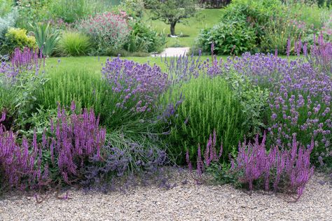 Abundant edimental hedge in our Arts & Crafts garden. Edible & ornamental planting is a common thread through most of our projects; not only are edimentals such as Lavender, Rosemary and Thyme resilient and drought tolerant, they bring incredible scent and attract the pollinators. . . . . . #edimentals #botanicals #edimentalhedge #droughttolerant #plantinginspiration #edibleplants #growyourown #pollinatorplants #plantingforwildlife #sustainablegarden #rosemary #lavender Rosemary Hedge, Rosemary Garden, Lavender Hedge, Rosemary And Thyme, Rosemary Lavender, Pollinator Plants, Bay Tree, London Family, Lavender Rosemary