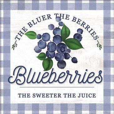 Bowl Of Blueberries, Bakery Logo Ideas, Tablet Theme, Kawaii Interior, Blueberry Aesthetic, Cartoon Style Art, Y2k Designs, Fruit Aesthetic, Blueberry Farm