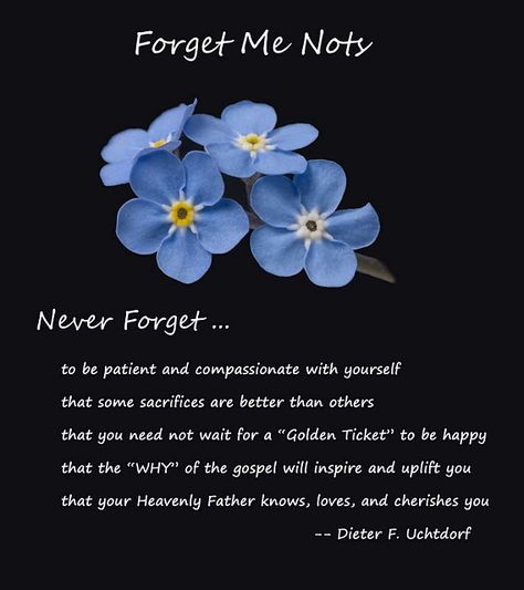 Forget Me Nots - Great reminders from President Uchtdorf's talk in the LDS R.S. conference, Sept 24, 2011 Forget Me Quotes, Uchtdorf Quotes, Dieter F Uchtdorf, Lds Relief Society, Relief Society Ideas, Visiting Teaching, Church Quotes, Spiritual Thoughts, Lds Quotes