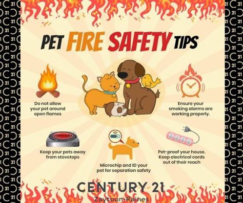 Crib Ideas, Fire Safety Tips, Parents To Be, Protection Gear, American Kennel Club, Pet Safety, Fire Safety, Pet Life, Pet Safe