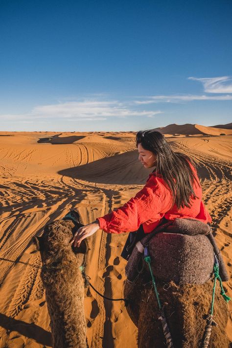 How to See the Sahara Desert: Erg Chebbi, Merzouga, Morocco Tour Merzouga Morocco, Morocco Desert, Deserts Of The World, Morocco Tours, Hot Desert, Desert Tour, The Sahara Desert, Spain Portugal, Sleeping Under The Stars