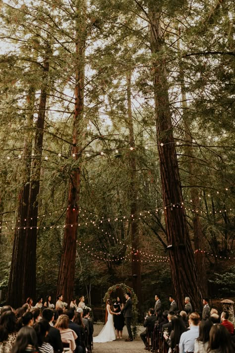 NorCal California Redwoods Deer Park Villa Rustic Wedding Photography | San Francisco Bay Area Wedding Photographer | instagram.com/lynnxlewis Deer Park Villa, Forest Wedding Venue, Twilight Wedding, California Redwoods, Enchanted Forest Theme, Redwood Wedding, Rustic Wedding Photography, Forest Theme Wedding, Enchanted Forest Wedding