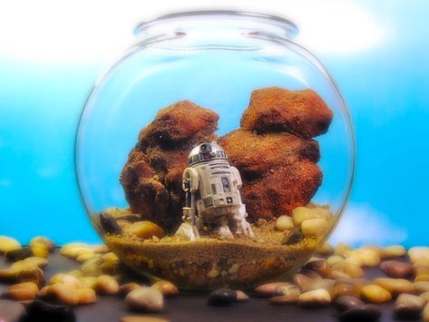 Starwars Terrarium, Disney Terrarium, Demijohn Ideas, Star Wars Terrarium, Model Diorama, Geeky Wedding, Star Wars Crafts, Miniature Terrarium, Star Wars Room