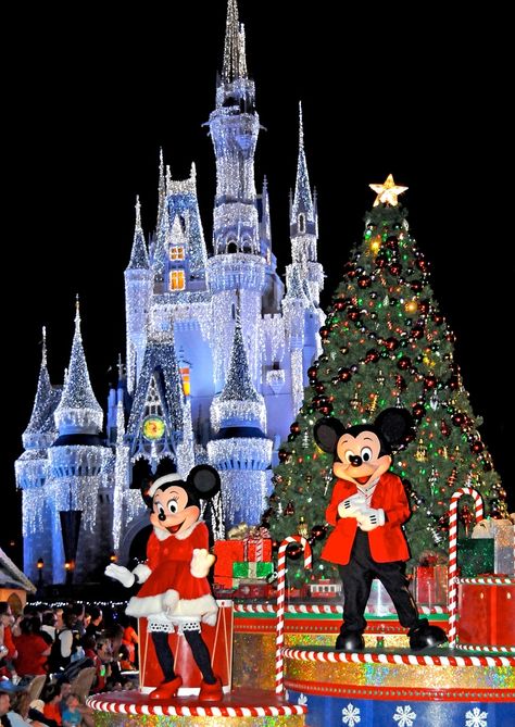 Mickey's Very Merry Christmas Party Disney World At Christmas, Disney Castles, Disney Icon, Disney Parade, Disneyland Christmas, Disney World Christmas, Disney Wallpapers, Very Merry Christmas Party, Disney Paris