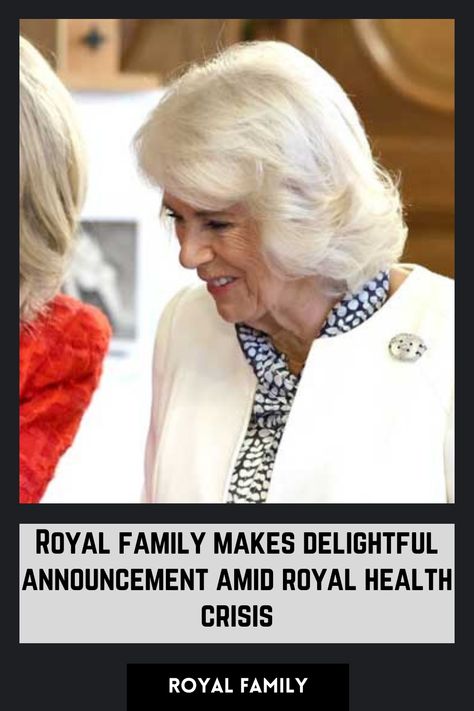 What delightful announcement did the royal family make amid the royal health crisis? Royal News Today, Family Gossip, British Royal Family News, Royal Family News, Royal Life, British Monarchy, Royal Engagement, Family Stories, The Royal Family