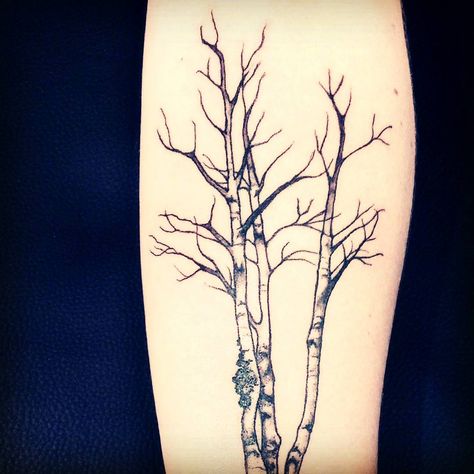 Birch Tree Tattoo, Aspen Trees Tattoo, Birch Tree Tattoos, Cafe Mural, Taboo Tattoo, Anker Tattoo, Tree Tattoos, White Birch Trees, Tree Tattoo Designs