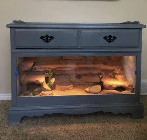 Reptile Rack, Diy Bearded Dragon Enclosure, Lizard Cage, Dresser Remodel, Bearded Dragon Terrarium Ideas, Lizard Terrarium, Styrofoam Insulation, Lizard Art, Bearded Dragon Terrarium