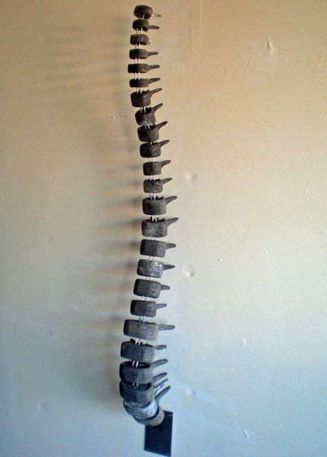 Keith Nolan Sculpture, Spine, 2012, Wood and Aluminum Wire Ribcage Clay Sculpture, Spine Sculpture Art, Spine Sculpture, Cardboard Skeleton, Spine Art, Personal Project Ideas, Apothecary Decor, Cardboard Sculpture, Architecture Sketchbook