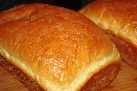 Pan de Coco (Honduras) - possibly the most delicious bread EVER!!!!!  Missing Utila! Coco Bread, Central American Food, Honduras Food, Honduran Recipes, Latin American Food, Active Dry Yeast, Coconut Bread, Foreign Food, Hispanic Food