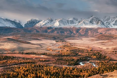 1,396 Russian Steppes Photos and Premium High Res Pictures - Getty Images People With Green Eyes, Altai Mountains, Temperate Rainforest, Out Of Africa, Environmental Art, Landscape Photographers, Photo Contest, Nature Beauty, Getty Images