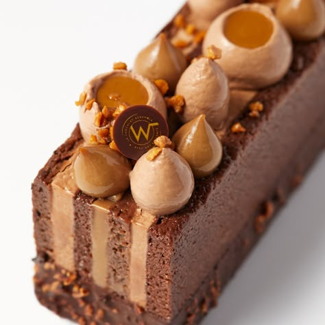 Bûche boisée - Chocolaterie Weiss Professionnels Plated Dessert, Dessert Presentation, Individual Desserts, Gourmet Desserts, French Desserts, Japanese Dessert, Pastry Desserts, Fancy Desserts, Baking And Pastry