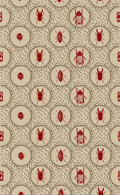 Bugs Wallpaper Aesthetic, Bug Iphone Wallpaper, Bug Phone Wallpaper, Bug Wallpaper Aesthetic, Bug Wallpaper Iphone, Beetle Background, Beetles Wallpaper, Beetle Wallpaper, Bug Wallpaper