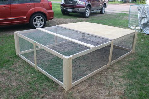 Guinea Pig Run, Diy Guinea Pig Cage, Broiler Chicken, Portable Chicken Coop, Chicken Pen, Chicken Tractors, Chicken Tractor, Coop Design, Chicken Run