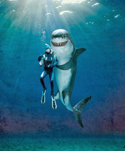 All the Funny Ones ! (Jokes, Cartoons and stories): Shark Attack Facts ! Shark Wallpaper Iphone, Shark Wallpaper, Funny Shark, Shark Pictures, Sharks Funny, Scuba Gear, Shark Swimming, Shark Fishing, Shark Week