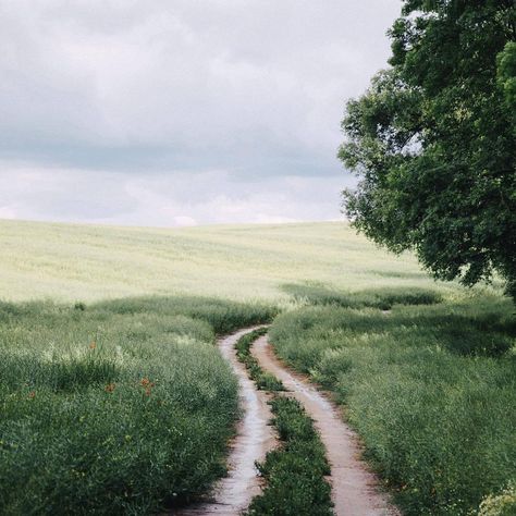 Dirt Road, Nature Aesthetic, Pretty Places, Narnia, Beautiful World, In The Middle, Beautiful Landscapes, Wonders Of The World, The Great Outdoors