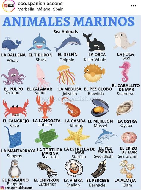 Spanish Nouns, Basic Spanish Verbs, Spanish Animals, Spanish Flashcards, Spanish Notes, Spanish Learning Activities, Useful Spanish Phrases, Spanish Words For Beginners, Basic Spanish Words