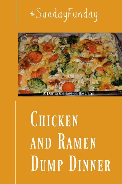 Top Ramen Chicken Casserole, Ramen Chicken Casserole, Ramen Dump Casserole, Shredded Chicken Ramen Noodle Recipes, Ramen Dump Bake, Ramen Noodle Bake Dump, Chicken Ramen Noodle Casserole, Ramen Bake Dump, Ramen Casserole Recipes