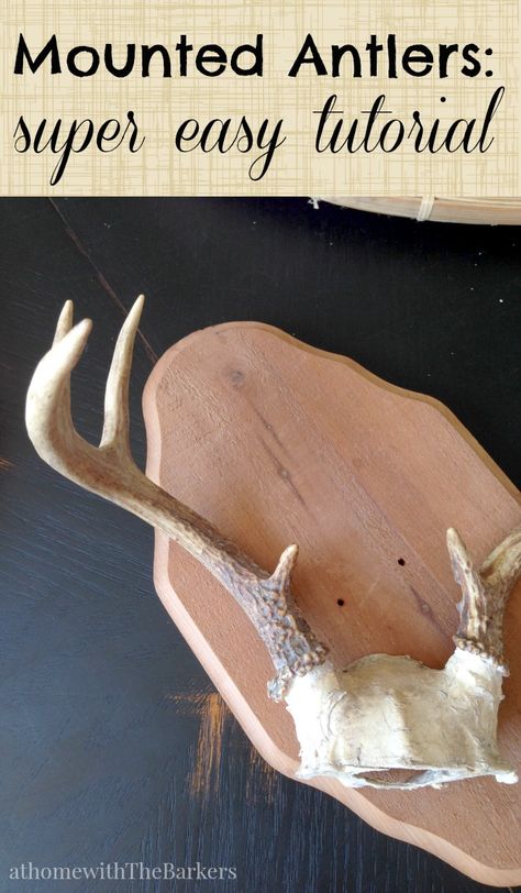 Mounted Antlers-Super Easy Tutorial Antler Mount Ideas, Deer Antlers Diy, Deer Antler Ideas, Antler Mounts, Diy Antlers, Deer Antler Mount, Mounted Antlers, Antler Projects, Dining Room Gallery Wall