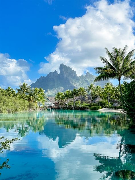 Great Stays | Four Seasons Bora Bora Bora Bora Four Seasons, Bora Bora Aesthetic, Beach Astethic, Moorea Tahiti, Four Seasons Bora Bora, Air Tahiti, Bora Bora French Polynesia, Spiritual Aesthetic, Hi Sugarplum