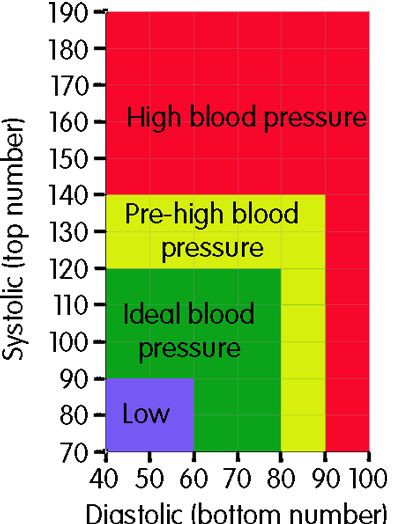 What Should Your Blood Pressure Be According To Your Age! Is It High, Low Or Normal? - https://topnaturalremedies.net/news-nutrition-health/blood-pressure-according-age-high-low-normal/ High Blood Pressure Chart, Blood Pressure Numbers, High Blood Pressure Remedies, Low Sodium Recipes Blood Pressure, Blood Pressure Symptoms, Blood Pressure Medicine, Pressure Headache, Blood Pressure Food, Blood Pressure Chart