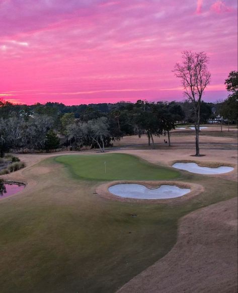 Golf Scenery, Daniel Island, Top Golf, Golf Balls, Golf Carts, Lush Green, Golf Ball, Explore The World, Golf Courses