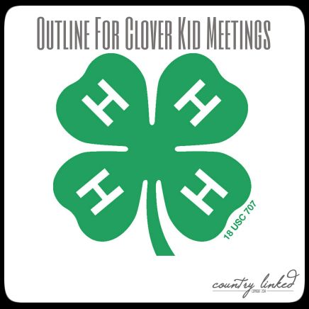 Clover Buds 4h, National 4-h Week Ideas, Cloverbuds 4-h Activities, 4 H Project Ideas, 4 H Poster Ideas, 4-h Poster Ideas, 4h Clover, 4h Crafts, 4 H Clover