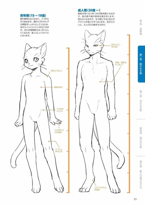 How To Draw Anthropomorphic Animals, Tattoo Designs Cat, Tattoo Ideas Cat, Cats Tattoo Ideas, Cat Tattoos Ideas, Wallpapers Cat, Anthro Cat, Cat T Shirts, Cats Anime