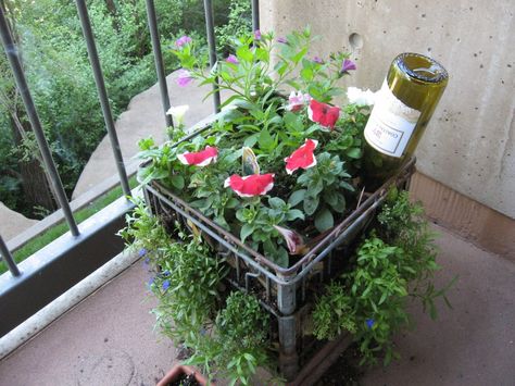 Milk crate! I think I can plant veggies and fruits on my tiny patio with this idea! Milk Crates Diy, Plastic Milk Crates, Patio Container Gardening, Crate Diy, Plastic Crates, Milk Crate, Virtuous Woman, Milk Crates, Garden Containers