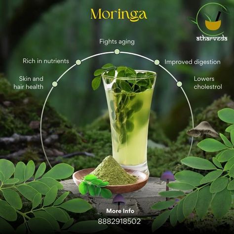 "Moringa: The Miracle Tree Packed with Nutrients and Healing Properties." #atharveda #Ayurveda #AyurvedicRemedies #MoringaBenefits #skincare #skincareproducts #skintreatment #skinhealth #naturalhealing #naturalremedies #NaturalWellness #naturalglow #NaturalCures #healthylifestyle #healthyhabits #hairfall #HerbalMedicine #healthyfood #instagramreels #instagood #instapost #instagram Moringa Benefits, Ayurvedic Therapy, Miracle Tree, Moringa Powder, Ayurvedic Healing, Rishikesh India, Ayurvedic Remedies, Healthy Cholesterol Levels, Health And Vitality