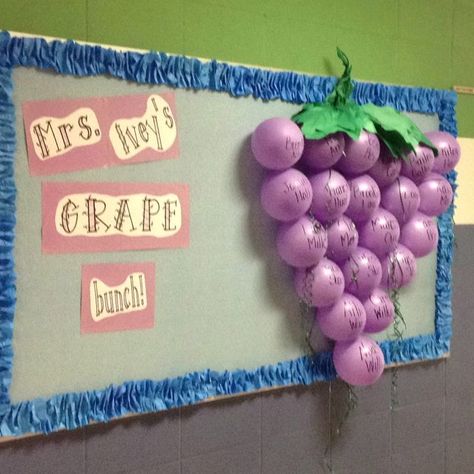 "A Grape Bunch" back to school bulletin board... could also work for the end of the year... "What a GRAPE year we've had!" Hide a treat or activity inside each balloon and pop one a day as you countdown to the last day. (Picture only) Door Bulletin Boards, Education Major, Food Boards, Preschool Bulletin, Preschool Bulletin Boards, Back To School Bulletin Boards, Bulletin Board Display, Classroom Bulletin Boards, School Bulletin Boards