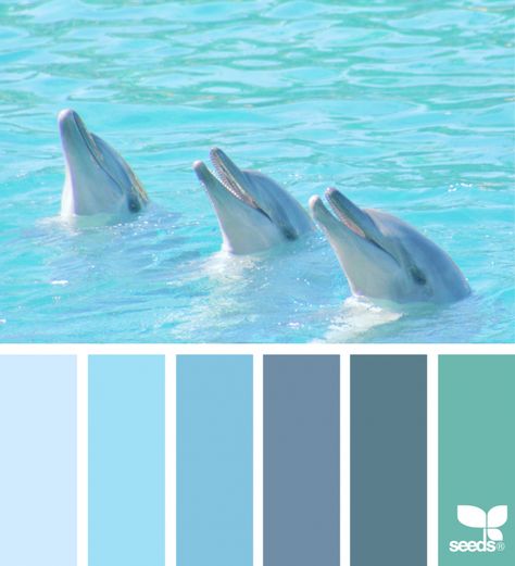 Color Creature Design Seeds Color Palette, Seeds Color Palette, Coastal Paint Colors, Seeds Color, Color Sheets, Home Decor Colors, Coastal Colors, Color Chip, Color Palate