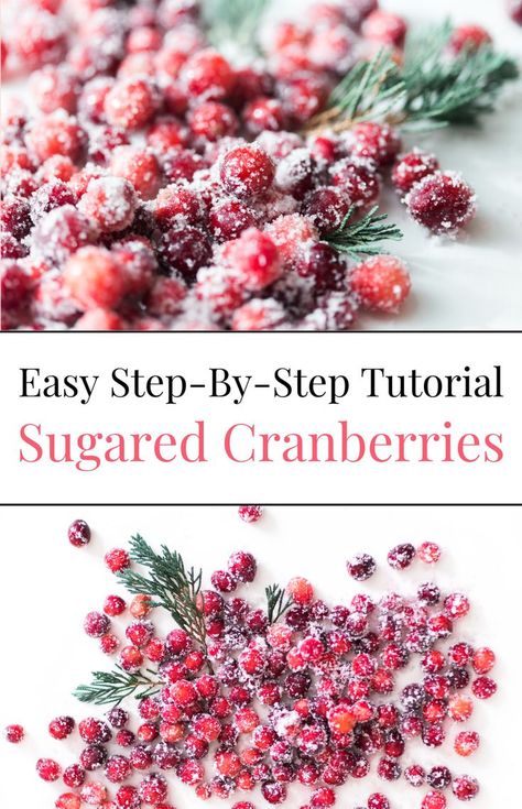 Learn how to make sugared cranberries with this quick and easy sugar cranberries recipe. These candied cranberries are perfect for holiday celebrations like Thanksgiving and Christmas. Enjoy this festive treat and discover how to sugar cranberries for the best sugared cranberries to impress your guests! Sugar Cranberries, Candied Cranberries, Cranberry Dessert, Sugared Cranberries, Holiday Dinner Party, Christmas Dinner Party, Fall Cooking, Thanksgiving And Christmas, Cranberry Recipes