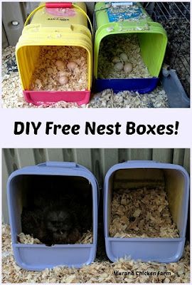 Nest Boxes, Backyard Chicken Coop Plans, Chicken Nesting Boxes, Diy Chicken Coop Plans, Chicken Toys, Chicken Feeders, Backyard Chicken Farming, Chicken Run, Chicken Treats